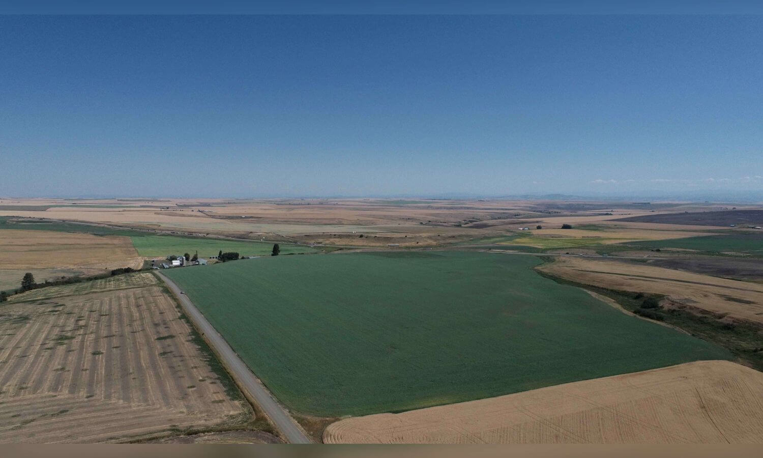 Cottonwood Palouse Farm
