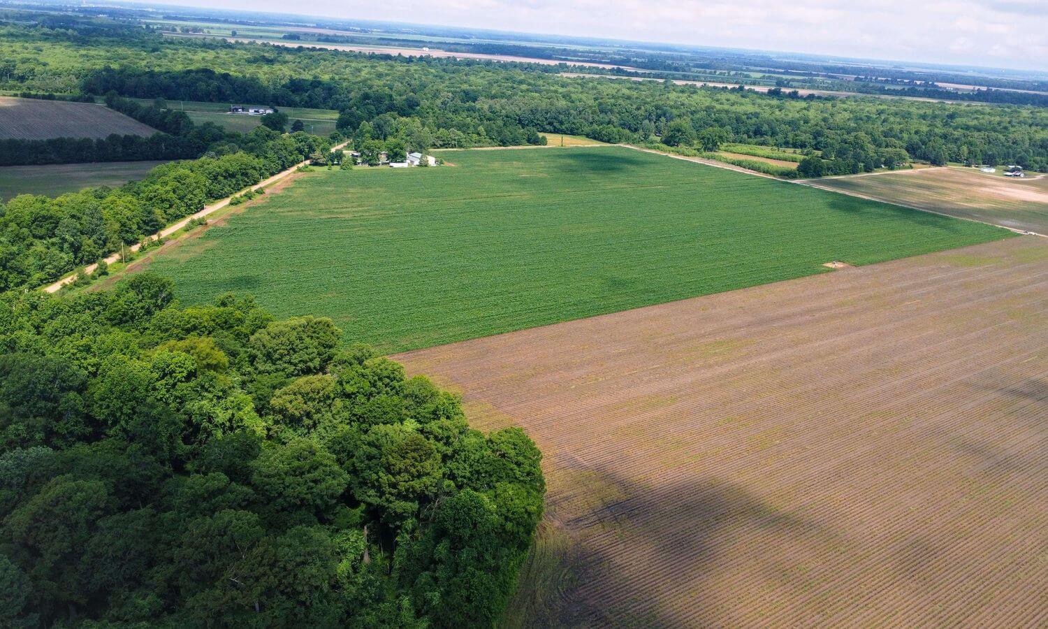 Cardwell Farm