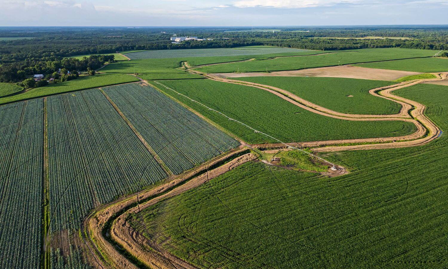 Smithville Farm