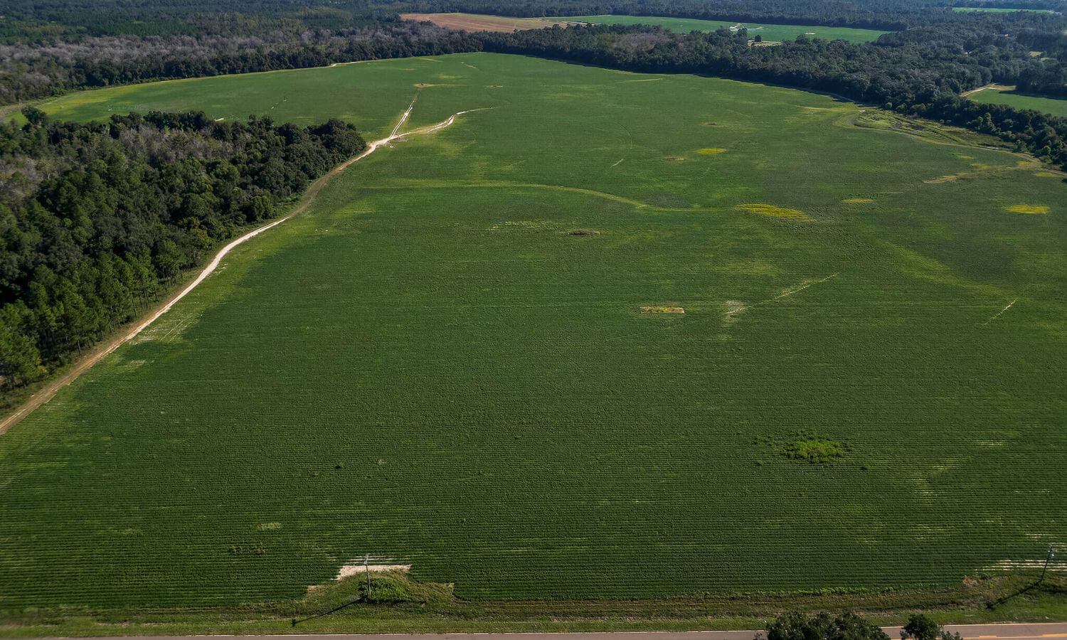 Crossroads Farm