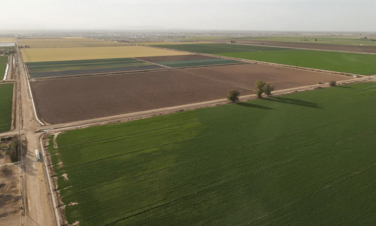 Imperial Organic Vegetable Farm