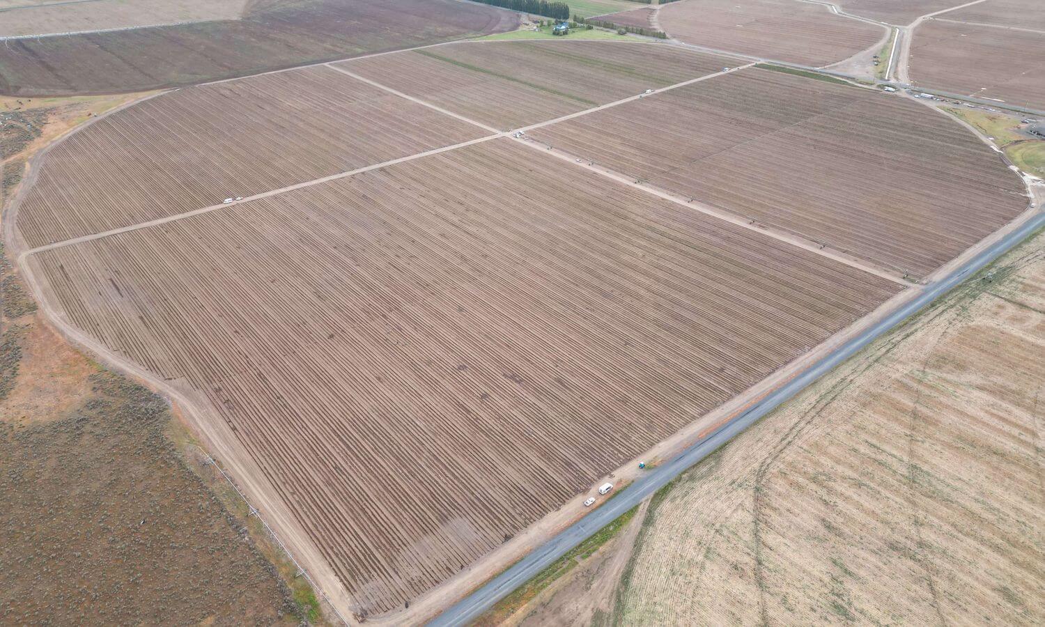 Winchester Farm
