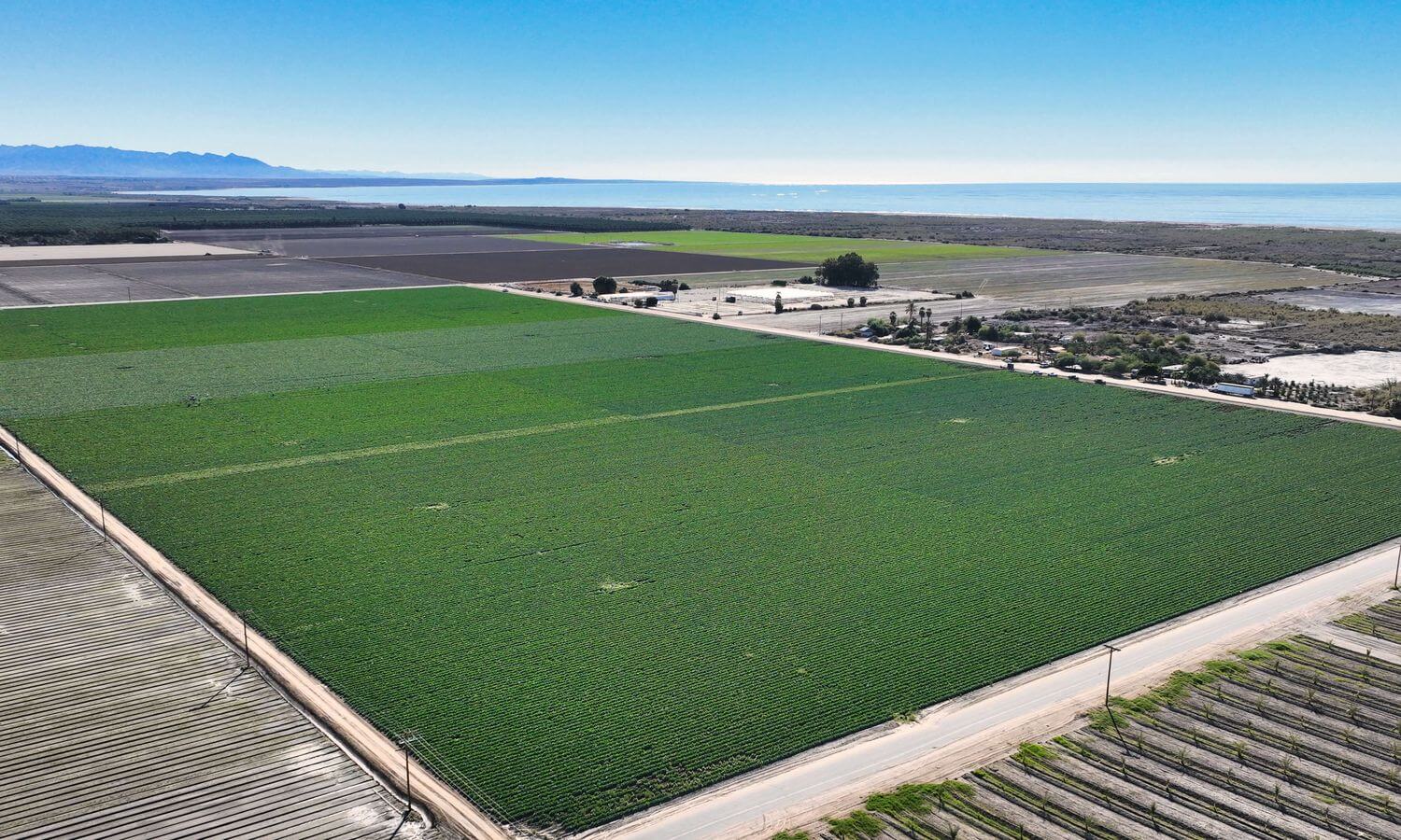Orange Park Vegetable Farm