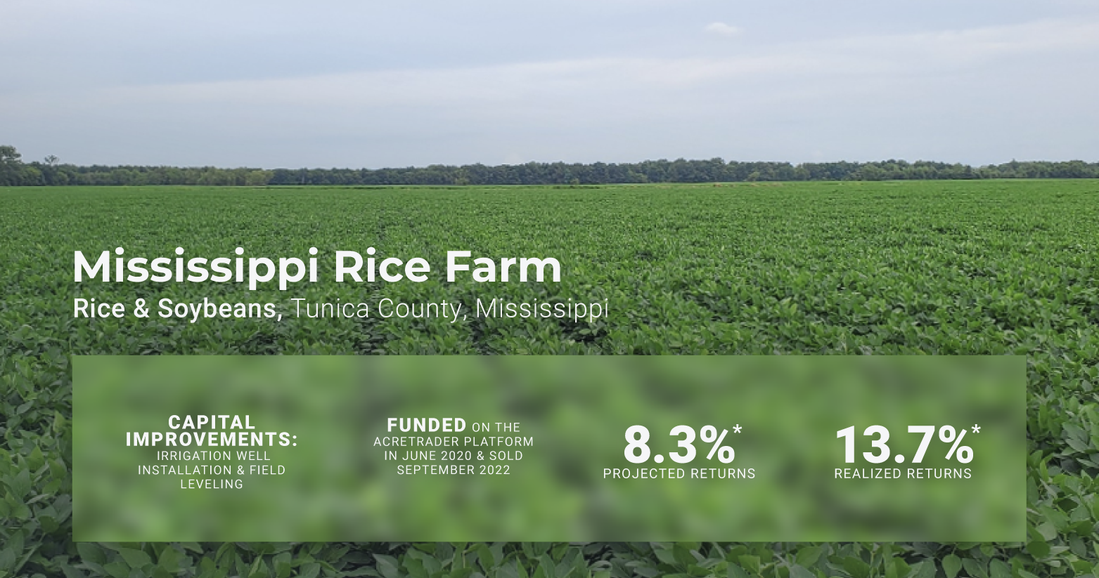 Mississippi rice farm disposition facts