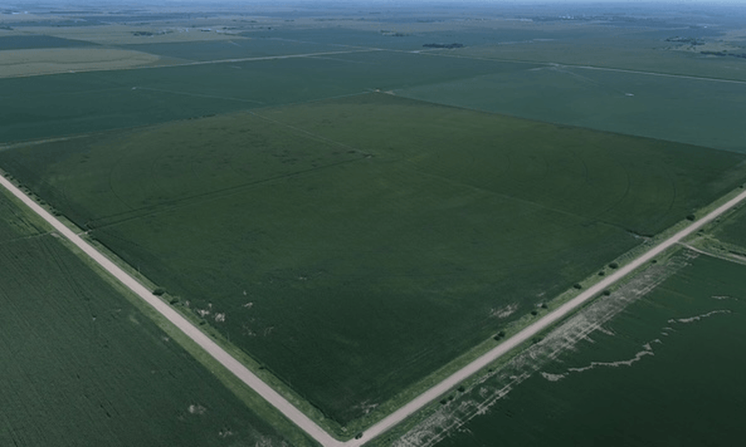 holdrege-farm.png Holdrege Farm