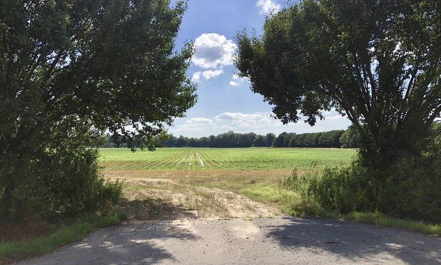 Arkansas Delta Leveled 40 Offering AcreTrader