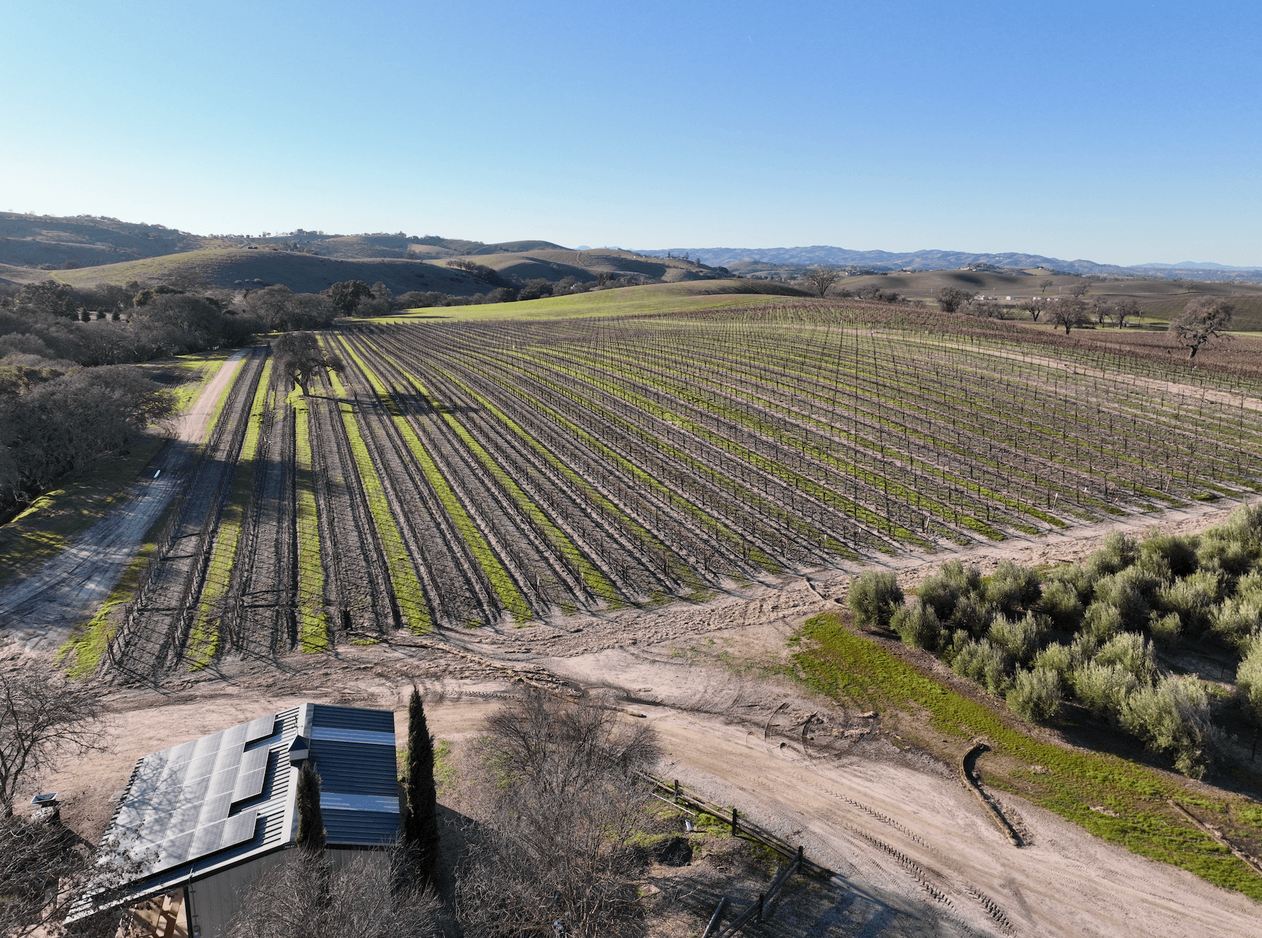 templeton-preserve-vineyard