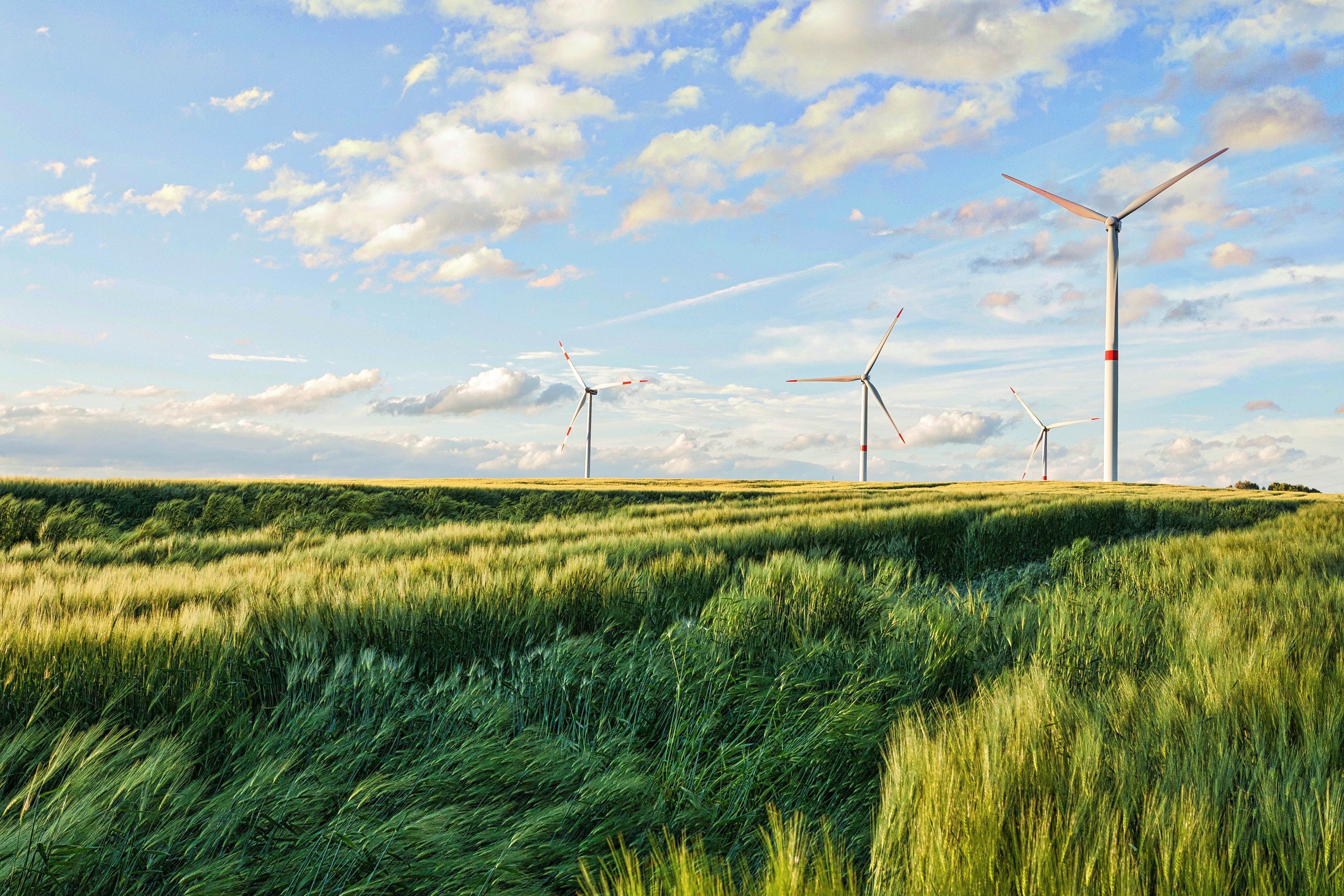Agricultural field with wind turbines in the distance demonstrating the passive income value of energy leases on a farmland investment.